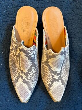 dingo Snakeskin Pointed Mule in Taupe and Gray